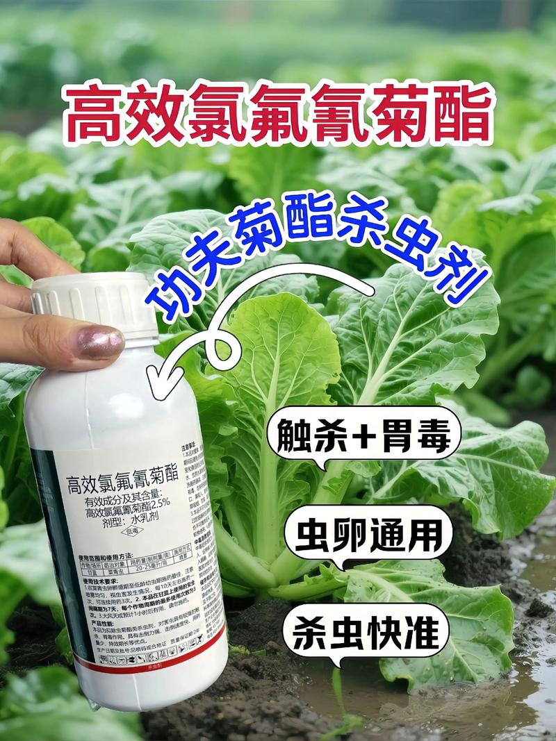 珠海代生中心:农药对供卵代生妈妈的危害